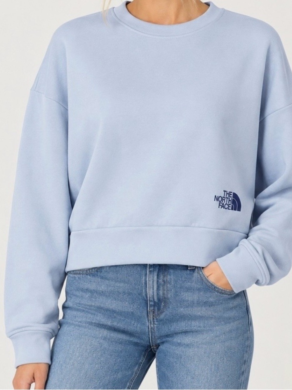 The North Face Horizon Performance Fleece sweatshirt in Dusty Periwinkle Sz L
